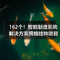 162个！智能制造系统解决方案揭榜挂帅项目最新名单公示（图4）