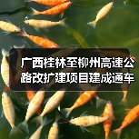 广西桂林至柳州高速公路改扩建项目建成通车(图4) 广西桂林至柳州高速公路改扩建项目建成通车(图4)