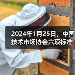 2024年1月25日，中国技术市场协会六项标准正式施行（图4）