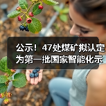 公示!47处煤矿拟认定为第一批国家智能化示范煤矿(图4) 公示!47处煤矿拟认定为第一批国家智能化示范煤矿(图4)