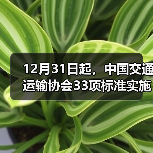 12月31日起,中国交通运输协会33项标准实施(图1) 12月31日起,中国交通运输协会33项标准实施(图1)
