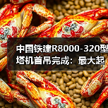 中国铁建R8000-320型塔机首吊完成:最大起重量320吨(图2) 中国铁建R8000-320型塔机首吊完成:最大起重量320吨(图2)