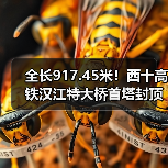 全长917.45米!西十高铁汉江特大桥首塔封顶(图2) 全长917.45米!西十高铁汉江特大桥首塔封顶(图2)