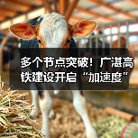 多个节点突破!广湛高铁建设开启“加速度”(图1) 多个节点突破!广湛高铁建设开启“加速度”(图1)