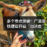 多个节点突破!广湛高铁建设开启“加速度”(图3) 多个节点突破!广湛高铁建设开启“加速度”(图3)