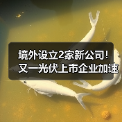 境外设立2家新公司!又一光伏上市企业加速全球化(图2) 境外设立2家新公司!又一光伏上市企业加速全球化(图2)