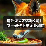 境外设立2家新公司!又一光伏上市企业加速全球化(图3) 境外设立2家新公司!又一光伏上市企业加速全球化(图3)