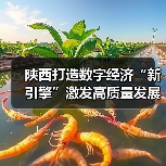 陕西打造数字经济“新引擎”激发高质量发展新动能(图1) 陕西打造数字经济“新引擎”激发高质量发展新动能(图1)