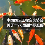 中国国际工程咨询协会关于十八项团体标准的立项公告（图1）