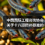中国国际工程咨询协会关于十八项团体标准的立项公告（图2）