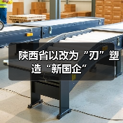 陕西省以改为“刃”塑造“新国企”(图3) 陕西省以改为“刃”塑造“新国企”(图3)