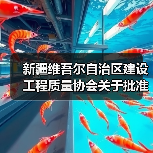 新疆维吾尔自治区建设工程质量协会关于批准发布《覆面木基复合板装配式低层建筑构造》图集的公告（图2）