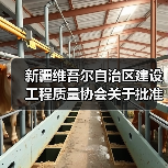 新疆维吾尔自治区建设工程质量协会关于批准发布《覆面木基复合板装配式低层建筑构造》图集的公告（图4）