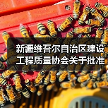 新疆维吾尔自治区建设工程质量协会关于批准发布《覆面木基复合板装配式低层建筑构造》图集的公告（图3）