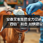 安徽叉车集团全力促进“四链”融合 加快建设现代化产业体系(图4) 安徽叉车集团全力促进“四链”融合 加快建设现代化产业体系(图4)