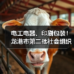 电工电器、印刷包装!龙港市第二批社会组织评估结果公示(图3) 电工电器、印刷包装!龙港市第二批社会组织评估结果公示(图3)
