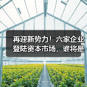 再迎新势力!六家企业登陆资本市场,谁将是下一个黑马?(图1) 再迎新势力!六家企业登陆资本市场,谁将是下一个黑马?(图1)