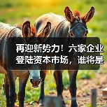 再迎新势力!六家企业登陆资本市场,谁将是下一个黑马?(图3) 再迎新势力!六家企业登陆资本市场,谁将是下一个黑马?(图3)