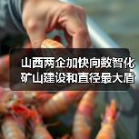 山西两企加快向数智化矿山建设和直径最大盾构机进发(图4) 山西两企加快向数智化矿山建设和直径最大盾构机进发(图4)