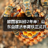 被国家叫停2年半!山东自建济枣高铁正式开工(图1) 被国家叫停2年半!山东自建济枣高铁正式开工(图1)