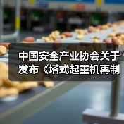 中国安全产业协会关于发布《塔式起重机再制造技术规范》团体标准公告（图2）