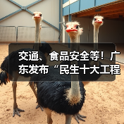 交通、食品安全等！广东发布“民生十大工程”五年行动计划（图3）