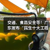 交通、食品安全等！广东发布“民生十大工程”五年行动计划（图4）