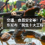 交通、食品安全等！广东发布“民生十大工程”五年行动计划（图1）