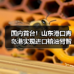 国内首台!山东港口青岛港实现进口输油臂智能对接(图3) 国内首台!山东港口青岛港实现进口输油臂智能对接(图3)