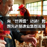 向“世界级”迈进!我国先进制造业集群发展优势凸显(图4) 向“世界级”迈进!我国先进制造业集群发展优势凸显(图4)