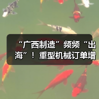 “广西制造”频频“出海”!重型机械订单增长显著(图1) “广西制造”频频“出海”!重型机械订单增长显著(图1)