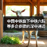 中国中铁旗下中铁六院等多企参建的深中通道主线全线贯通(图4) 中国中铁旗下中铁六院等多企参建的深中通道主线全线贯通(图4)