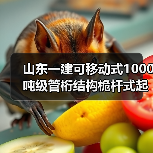 山东一建可移动式1000吨级管桁结构桅杆式起重机作业!(图1) 山东一建可移动式1000吨级管桁结构桅杆式起重机作业!(图1)