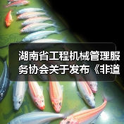 湖南省工程机械管理服务协会关于发布《非道路移动工程机械排气烟度限值及检测技术规范》团体标准的公告（图4）
