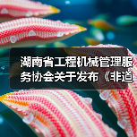 湖南省工程机械管理服务协会关于发布《非道路移动工程机械排气烟度限值及检测技术规范》团体标准的公告（图2）