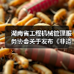 湖南省工程机械管理服务协会关于发布《非道路移动工程机械排气烟度限值及检测技术规范》团体标准的公告（图1）