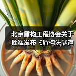 北京盾构工程协会关于批准发布《盾构法隧道施工机车司机技能鉴定要求》等3项团体标准的公告(图3) 北京盾构工程协会关于批准发布《盾构法隧道施工机车司机技能鉴定要求》等3项团体标准的公告(图3)