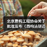 北京盾构工程协会关于批准发布《盾构法隧道施工机车司机技能鉴定要求》等3项团体标准的公告(图1) 北京盾构工程协会关于批准发布《盾构法隧道施工机车司机技能鉴定要求》等3项团体标准的公告(图1)