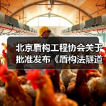 北京盾构工程协会关于批准发布《盾构法隧道施工机车司机技能鉴定要求》等3项团体标准的公告(图4) 北京盾构工程协会关于批准发布《盾构法隧道施工机车司机技能鉴定要求》等3项团体标准的公告(图4)