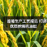 遵循生产工艺规范 打造优质挖掘机油缸(图3) 遵循生产工艺规范 打造优质挖掘机油缸(图3)