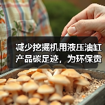 减少挖掘机用液压油缸产品碳足迹，为环保贡献一份力