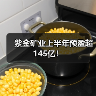 紫金矿业上半年预盈超145亿!(图2) 紫金矿业上半年预盈超145亿!(图2)