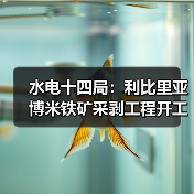 水电十四局：利比里亚博米铁矿采剥工程开工！（图3）