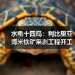 水电十四局：利比里亚博米铁矿采剥工程开工！（图1）
