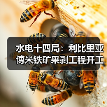 水电十四局：利比里亚博米铁矿采剥工程开工！（图2）