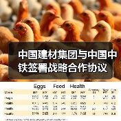 中国建材集团与中国中铁签署战略合作协议（图4）
