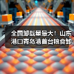 全国卸载量最大！山东港口青岛港首台粮食卸船机实现首次重载试车（图3）