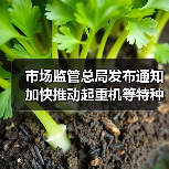 市场监管总局发布通知 加快推动起重机等特种设备更新（图4）