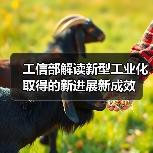 工信部解读新型工业化取得的新进展新成效(图4) 工信部解读新型工业化取得的新进展新成效(图4)