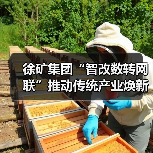 徐矿集团“智改数转网联”推动传统产业焕新升级(图3) 徐矿集团“智改数转网联”推动传统产业焕新升级(图3)
